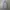 Hugo Boss Casual Formal shirt Pria multicolor photo 3