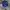 JanSport Gorpcore Bag Pria Purple Blue