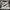 Nike Air Jordan Luxury Casual Casual Shoe Pria White Gray