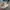 New Balance Streetwear Sneakers Pria tan cream photo 1