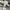ZARA Casual Sweatshirt Wanita white gray photo 3