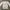 ZARA Casual Sweatshirt Wanita white gray photo 1