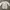 ZARA Casual Sweatshirt Wanita White Gray
