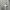 ZARA Casual Sweatshirt Wanita white gray photo 2