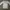 ZARA Casual Sweatshirt Wanita white gray photo 6
