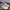 New Balance Streetwear Casual Sneakers Pria white photo 3