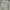 COQUETTE FLOWER RUFFLE PASTEL MINT GREEN photo 2