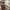 Carhartt Vintage Sportswear Bag Pria cream photo 5