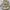 Carhartt Vintage Sportswear Bag Pria Cream