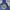 LMC Casual Hoody Pria navy photo 5