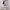 Casual Summer dress Wanita multicolor photo 3