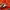 Streetwear Sportswear Track jacket Pria black orange photo 5