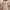 Casual Summer dress Wanita multicolor photo 1