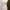 Coquette Casual Summer dress Wanita white photo 3