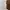 Fairy Coquette Evening dress Wanita multicolor photo 7