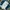 Nevada Streetwear Casual Bomber Jacket Pria White Navy