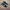 VANS Casual Sneakers Pria white black photo 3