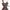 Vintage Y2K Going Out Dress Wanita Multicolor