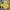 Casual Jersey Pria yellow photo 2