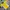 Casual Jersey Pria Yellow
