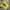 Casual Jersey Pria yellow photo 4