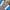 Hangten Vintage Streetwear Windbreaker Pria white gray photo 6