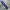 Casual Jeans Pria blue photo 5