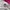 Nike Streetwear Casual Bomber jacket Wanita white pink photo 4