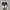 Nike Sportswear Sneakers Pria multicolor photo 4