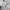 Casual Sweatshirt Wanita white photo 6