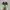 Nike Sportswear Sneakers Pria green black photo 4