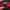 Nike Vintage Streetwear Sweater Pria Red Black