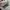 Louis Vuitton Streetwear Y2K Sneakers Pria white photo 4