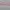 Columbia Casual T-shirt Kids pink gray photo 2