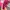 Columbia Casual T-shirt Kids pink gray photo 5
