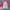 Columbia Casual T-shirt Kids pink gray photo 6