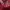 Pakaian Adat Pakaian Nasional Going Out Dress Wanita Burgundy