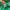Streetwear Casual Windbreaker Pria green photo 6