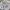 Futurist Sweatshirt Wanita white gray photo 3