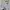 Futurist Sweatshirt Wanita white gray photo 5
