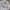Futurist Sweatshirt Wanita white gray photo 4