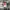 Supreme Streetwear Casual Casual pants Pria white photo 1