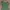 Minimalist Casual Summer Dress Wanita Green