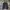 Frank Stone Sportswear Casual Windbreaker Pria navy photo 2