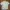 Cotton On Streetwear Indie Casual shirt Pria khaki cream photo 1