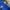 Adidas Sportswear Sweatpants & Joggers Pria blue photo 3
