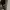 Adidas Streetwear Y2K Sneakers Pria white black photo 3