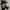 Adidas Streetwear Y2K Sneakers Pria White Black