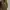 Adidas Streetwear Y2K Sneakers Pria white black photo 2