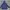 Adidas Sportswear Casual Suit Pria navy photo 1